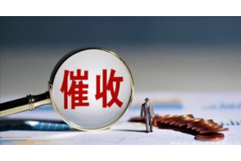 高青企业清欠服务