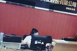 高青债务清欠服务